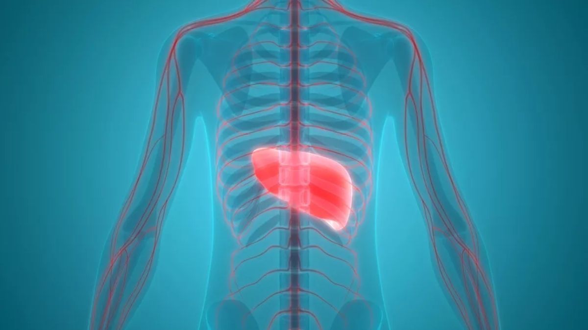 Does RSO Oil Help To Solve Liver Damage?