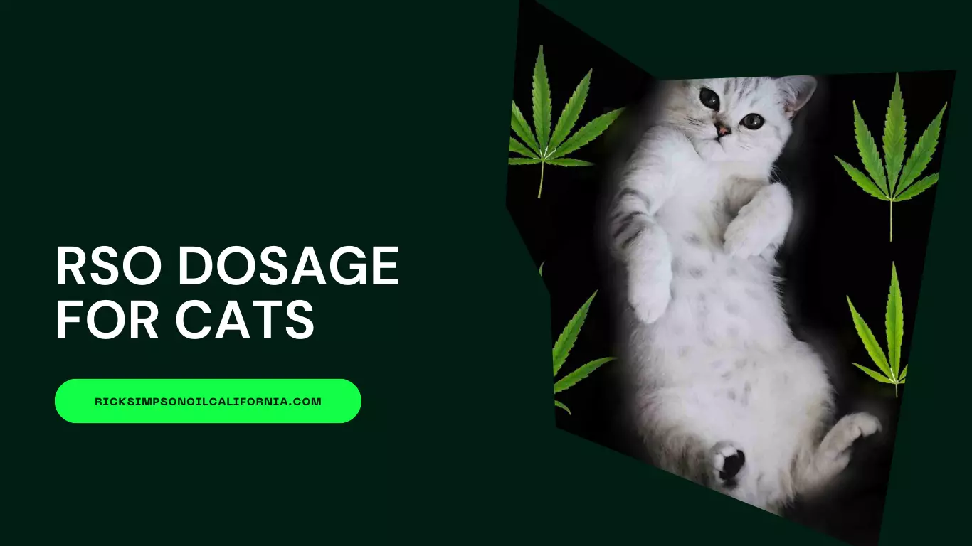 rso dosage for cats